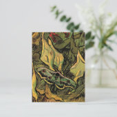 Great Peacock Moth by Vincent van Gogh Postkarte (Stehend Vorderseite)