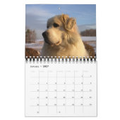 Great Pyrenäen Kalender (Jan 2027)