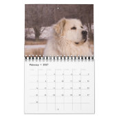 Great Pyrenäen Kalender (Feb 2027)