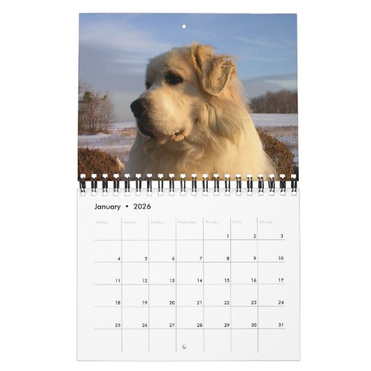 Great Pyrenäen Kalender (Jan 2026)