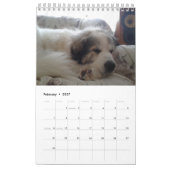 Great Pyrenäen Kalender (Feb 2027)