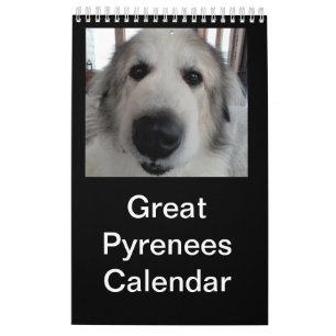 Great Pyrenäen Kalender