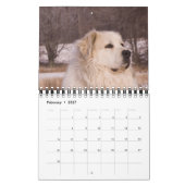 Great Pyrenäen Kalender (Feb 2027)