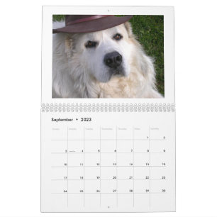 Great Pyrenäen Kalender