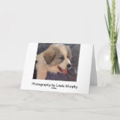 Great Pyrenäen Puppy Karte (Rückseite)