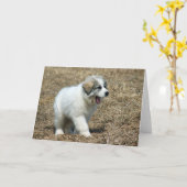 Great Pyrenäen Puppy Karte (Gelbe Blume)