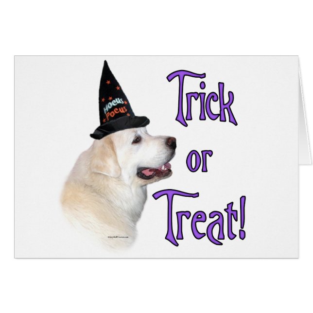 Great Pyrenäen Trick (Vorderseite (Horizontal))