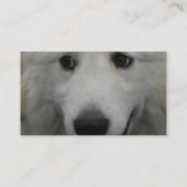 great-pyrenees-20.jpg visitenkarte (Rückseite)