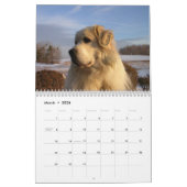 Great Pyrenees Calendar Kalender (Mär 2026)