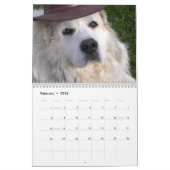 Great Pyrenees Calendar Kalender (Feb 2026)