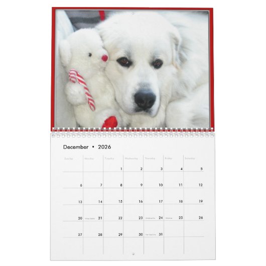 Great Pyrenees Calendar Kalender (Dez 2026)