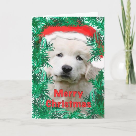 Great Pyrenees Christmas card Feiertagskarte (Vorderseite)