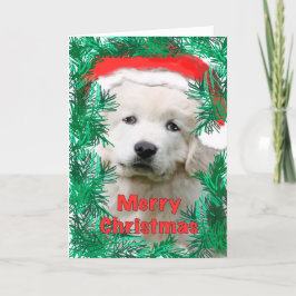 Great Pyrenees Christmas card Feiertagskarte