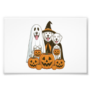 Great Pyrenees Hund Geist Hexe Halloween passend Fotodruck