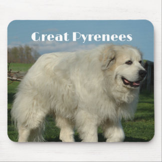 Great Pyrenees-Mauspad Mousepad