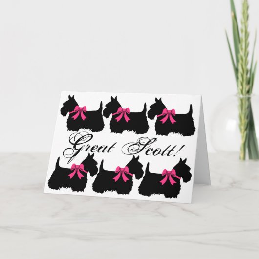 "Great Scott!", Scottish Terrier leere Karte (Vorderseite)