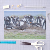 Great Skua in front of penguin colony Seidenpapier (Handwerk)
