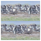Great Skua in front of penguin colony Stoff (Nahaufnahme)