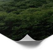 Great Smokey Mountains Nationalpark Panorama 2 Poster (Ecke)