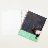 Great Smoky Mountain Elk 2026 Planer (Anzeige)