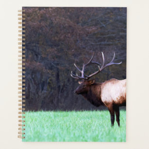 Great Smoky Mountain Elk 2026 Planer