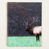 Great Smoky Mountain Elk 2026 Planner Planer (Vorderseite)