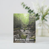 Great Smoky Mountain Nationalpark Postcard Postkarte (Stehend Vorderseite)