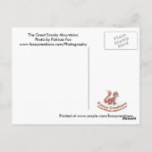 Great Smoky Mountains 3 - Postkarte (Rückseite)