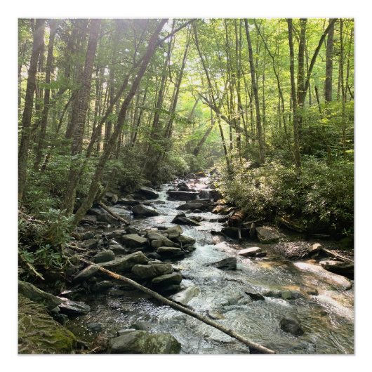 Great Smoky Mountains Gebirgsbach Poster (Vorderseite)