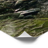 Great Smoky Mountains Gebirgsbach Poster (Ecke)