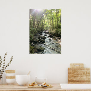 Great Smoky Mountains Gebirgsbach Poster