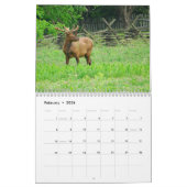 Great Smoky Mountains-Kalender 2013 Kalender (Feb 2026)