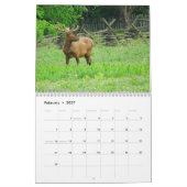 Great Smoky Mountains-Kalender 2013 Kalender (Feb 2027)