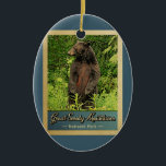Great Smoky Mountains National Park Bären Keramik Ornament<br><div class="desc">Vintage Reise-Ornament Great Smoky Mountains National Park Bild mit einem schwarzen Bär stehend auf seinen Hinterbeinen,  Blick in den grünen Wald.</div>