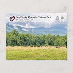 Great Smoky Mountains National Park - Cades Cove Postkarte