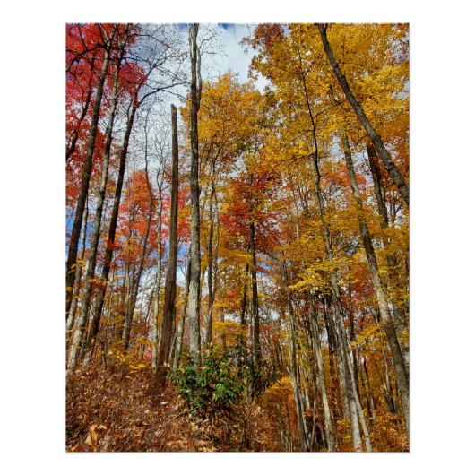Great Smoky Mountains National Park Fall Foliage Poster (Vorderseite)