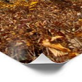 Great Smoky Mountains National Park Fall Foliage Poster (Ecke)