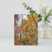 Great Smoky Mountains National Park Fall Foliage Postkarte (Stehend Vorderseite)