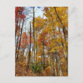 Great Smoky Mountains National Park Fall Foliage Postkarte (Vorderseite)