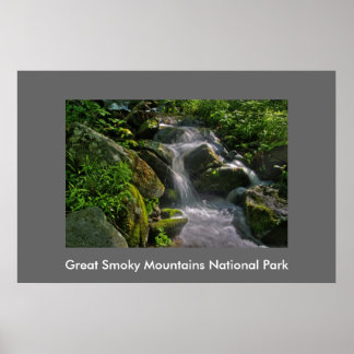 Great Smoky Mountains National Park Foto Poster