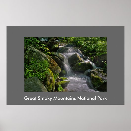 Great Smoky Mountains National Park Foto Poster (Vorne)