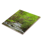 Great Smoky Mountains National Park North Carolina Fliese (Seite)