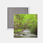 Great Smoky Mountains National Park North Carolina Magnet (Vorderseite/Rückseite)