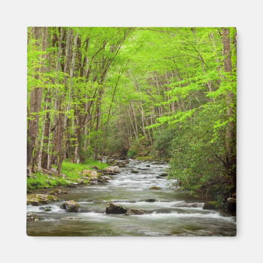 Great Smoky Mountains National Park North Carolina Magnet (Vorne)