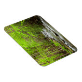 Great Smoky Mountains National Park North Carolina Magnet (Rechte Seite)