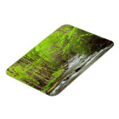 Great Smoky Mountains National Park North Carolina Magnet (Linke Seite)