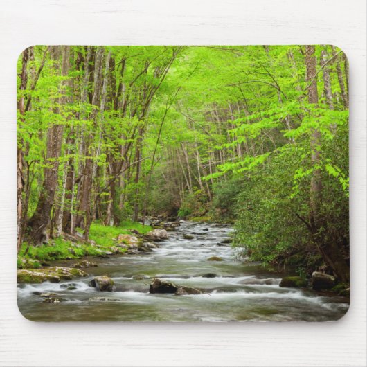 Great Smoky Mountains National Park North Carolina Mousepad (Vorne)