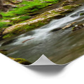 Great Smoky Mountains National Park North Carolina Poster (Ecke)