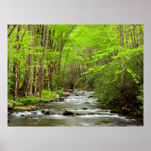 Great Smoky Mountains National Park North Carolina Poster (Vorne)
