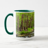 Great Smoky Mountains National Park North Carolina Tasse (Links)